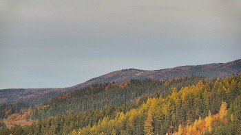 Ski areál U Sachovy studánky