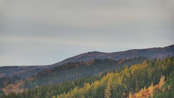 Ski areál U Sachovy studánky