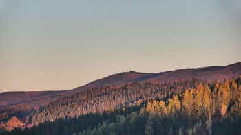 Ski areál U Sachovy studánky