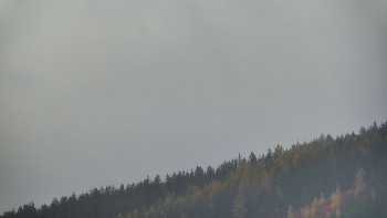 Ski areál U Sachovy studánky