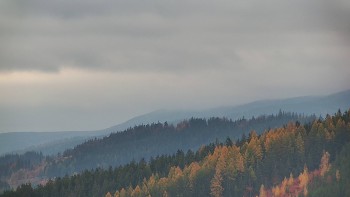 Ski areál U Sachovy studánky