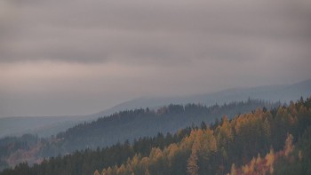Ski areál U Sachovy studánky