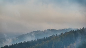Ski areál U Sachovy studánky