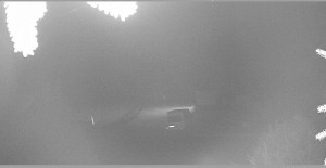 Horský spolek Adolfov - Parkoviště běžecký areál - 10.10.2025 v 05:45