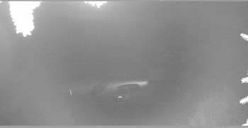 Snímek    14.10.2025 v 05:15