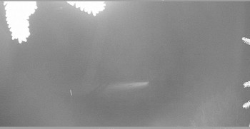 Snímek    14.10.2025 v 20:45