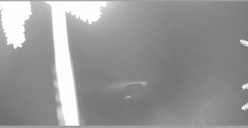 Snímek    14.10.2025 v 21:45
