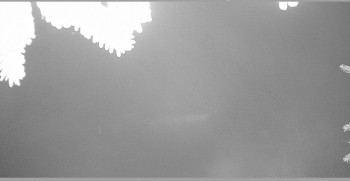 Snímek    15.10.2025 v 07:00