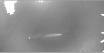 Snímek    16.10.2025 v 21:30