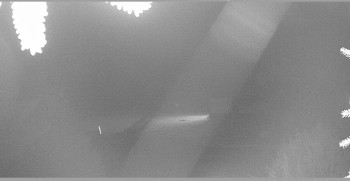 Snímek    17.10.2025 v 19:30