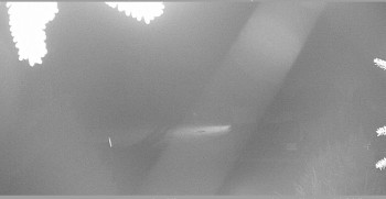 Snímek    18.10.2025 v 03:15