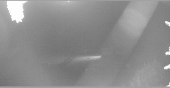 Snímek    19.10.2025 v 03:45