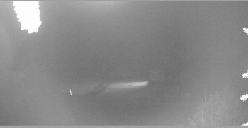 Snímek    21.10.2025 v 02:45