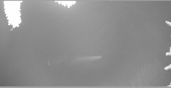 Snímek    22.10.2025 v 04:00