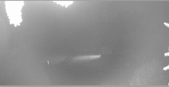 Snímek    24.10.2025 v 05:45