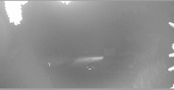 Snímek    29.10.2025 v 00:15