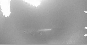 Snímek    31.10.2025 v 20:30