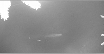 Snímek    2.11.2025 v 03:45