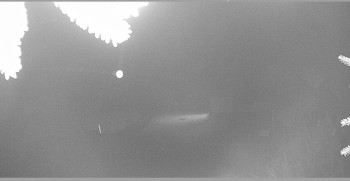 Snímek    2.11.2025 v 22:45