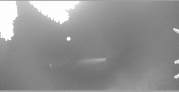 Snímek    3.11.2025 v 05:00