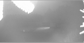 Snímek 7.11.2025 v 21:30