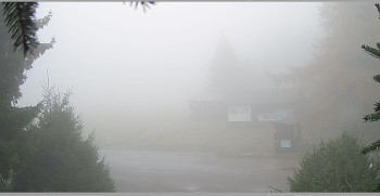 Snímek 8.11.2025 v 07:45