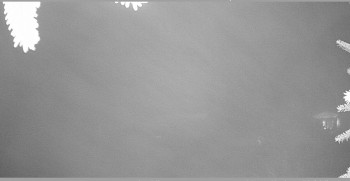 Snímek 8.11.2025 v 20:45