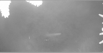 Snímek    9.11.2025 v 00:45