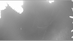 Parkoviště běžecký areál