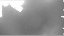 Parkoviště běžecký areál