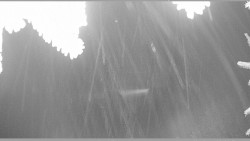 Parkoviště běžecký areál