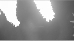 Parkoviště běžecký areál