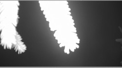 Parkoviště běžecký areál