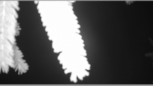 Horský spolek Adolfov - Parkoviště běžecký areál - 25.11.2025 v 01:45 Horský spolek Adolfov - Parkoviště běžecký areál - 25.11.2025 v 01:45