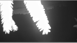 Parkoviště běžecký areál