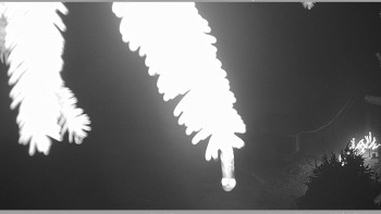 Horský spolek Adolfov