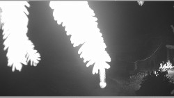 Parkoviště běžecký areál