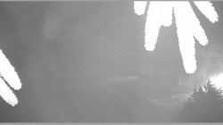 Parkoviště běžecký areál