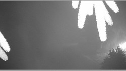 Parkoviště běžecký areál