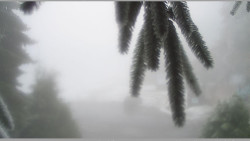 Parkoviště běžecký areál