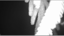 Parkoviště běžecký areál