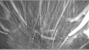 Horský spolek Adolfov