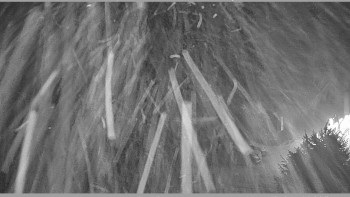 Horský spolek Adolfov