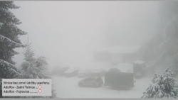 Parkoviště běžecký areál