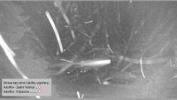 Parkoviště běžecký areál