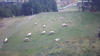 Snímek    18.10.2025 v 12:15