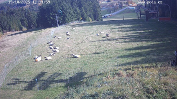 Snímek    19.10.2025 v 12:15