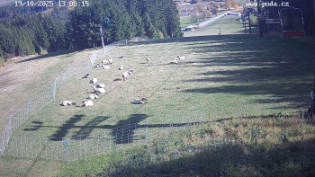 Snímek    19.10.2025 v 13:00