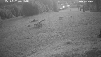 Snímek    20.10.2025 v 06:45