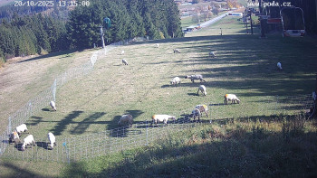 Snímek    20.10.2025 v 13:15